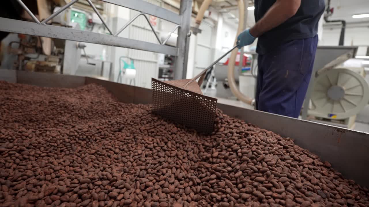 hombre caucásico trabajando en una fábrica de cacao tostando los granos de cacao