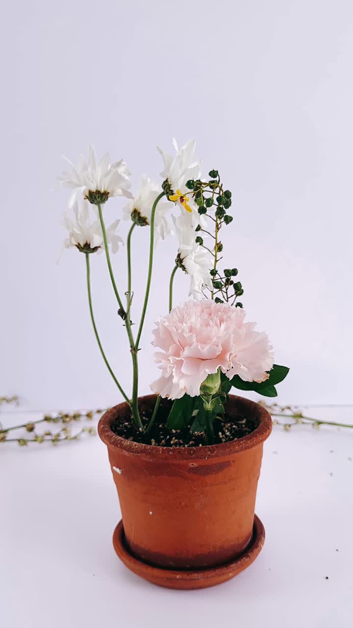 arreglo de claveles rosados y crisantemos blancos