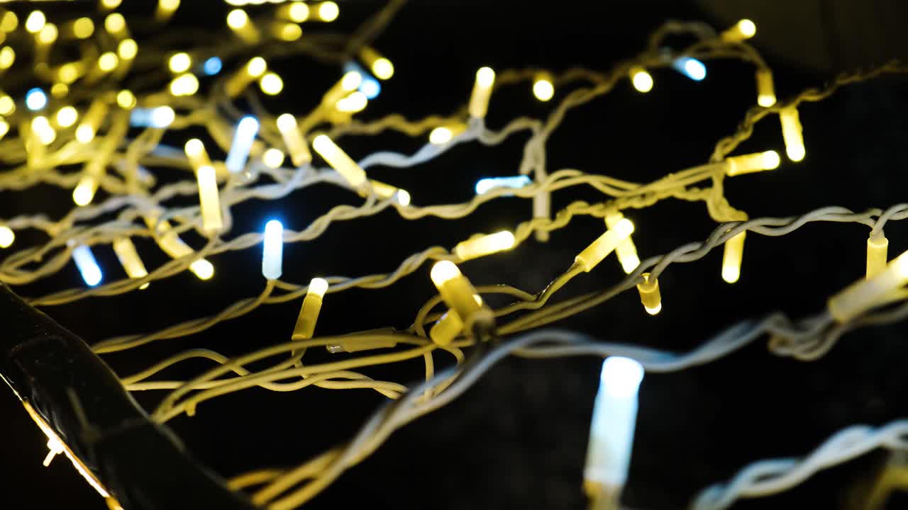 Warm Holiday Lights