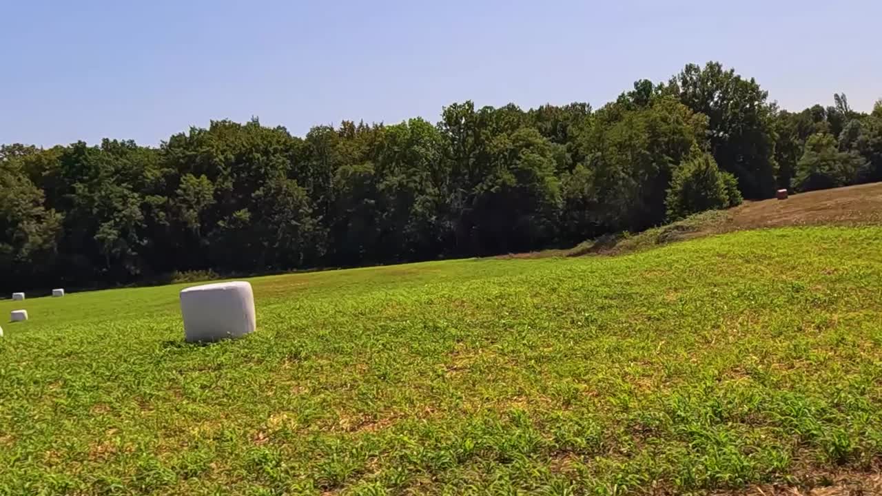 Expansive green fields dotted with round and square hay bales under a clear blue sky.