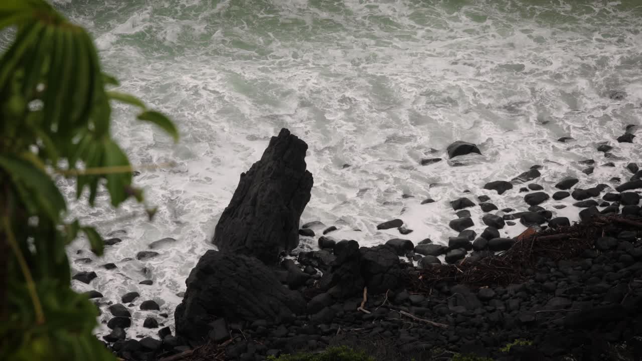 호주 골드코스트에 있는 버리 헤즈 국립공원의 산책로를 따라 바다를 볼 수 있다.