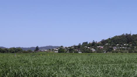 time-lapse of a town on a hill viewed across a field