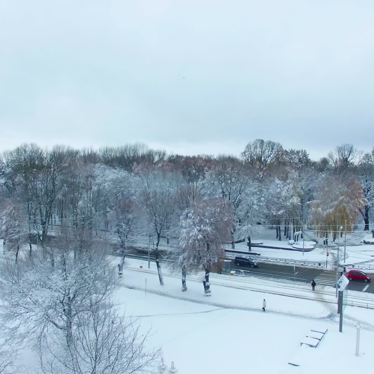 Square in the city covered with snow carpet. Transport moves by the cleaned up roads. Bare trees in the park are in snow. Top view