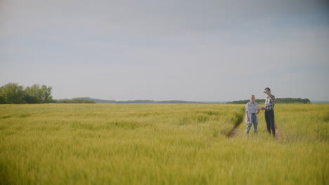 farmers inspecting wheat field