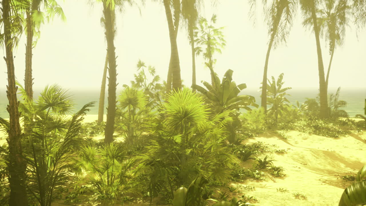 Lush tropical foliage by the ocean with misty atmosphere at sunrise