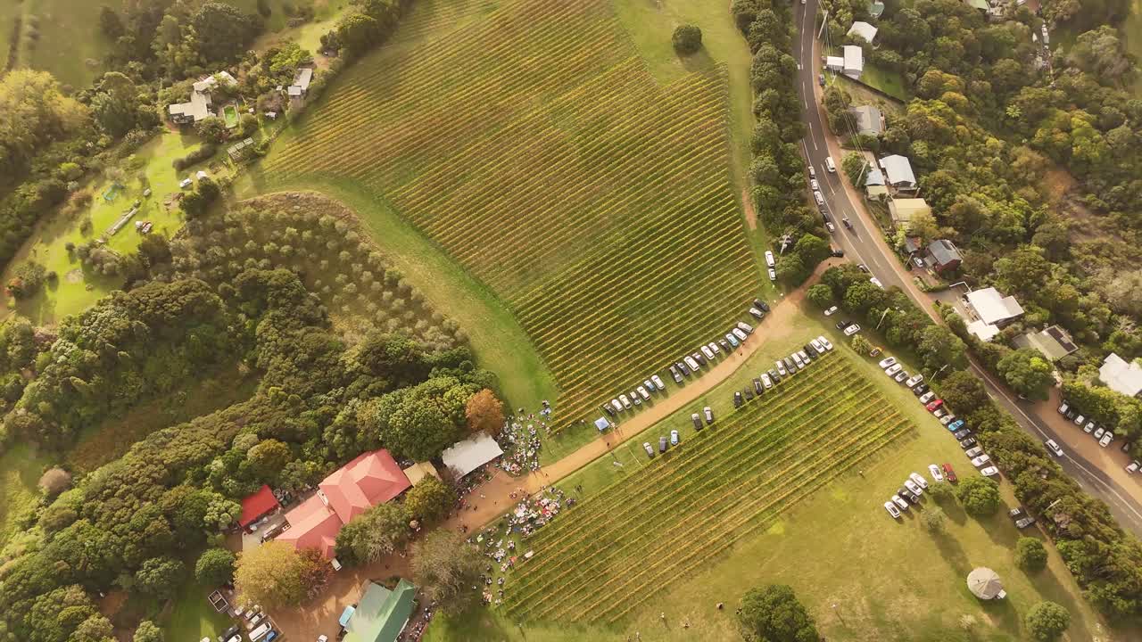 Vineyard fields, driving cars on street and reflection on water surface of ocean. Aerial tilt up wide shot. Haiheke Island, New Zealand.