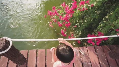 Clip-En-Cámara-Lenta-De-Un-Niño-Asiático-De-Dos-Años-Disfrutando-En-Un-Parque-Al-Aire-Libre-Alimentando-A-Los-Peces-En-Un-Estanque-Desde-Un-Puente-De-Madera-Con-Flores-Rosas