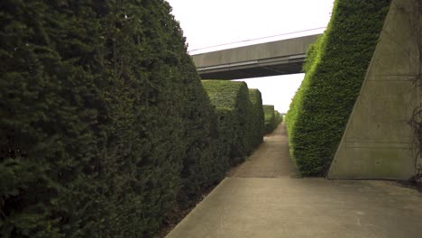 moving towards entering green maze following footpath bridge above cloudy weather thriller drama suspense feeling no people around abandoned location trimmed bushes in wave patterns slow motion