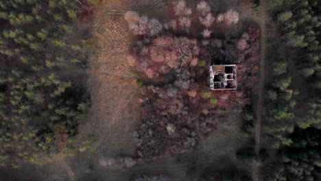 Old-abandoned-gunpowder-factory-building-in-the-forest-in-autumn,-top-view-aerial