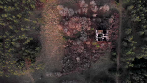 viejo edificio abandonado de la fábrica de pólvora en el bosque en otoño, vista aérea de arriba