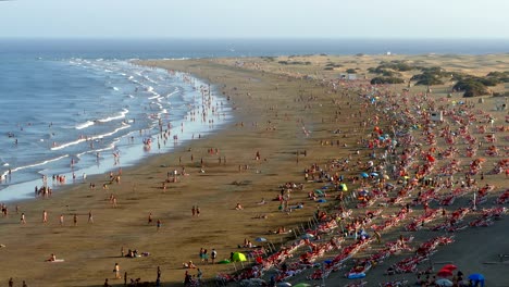 aerial view of the english beach, canary islands.