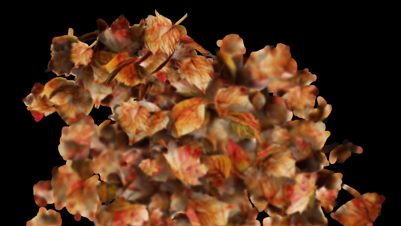 Autumn Leaves Transition or Reveal Element with Alpha Channel