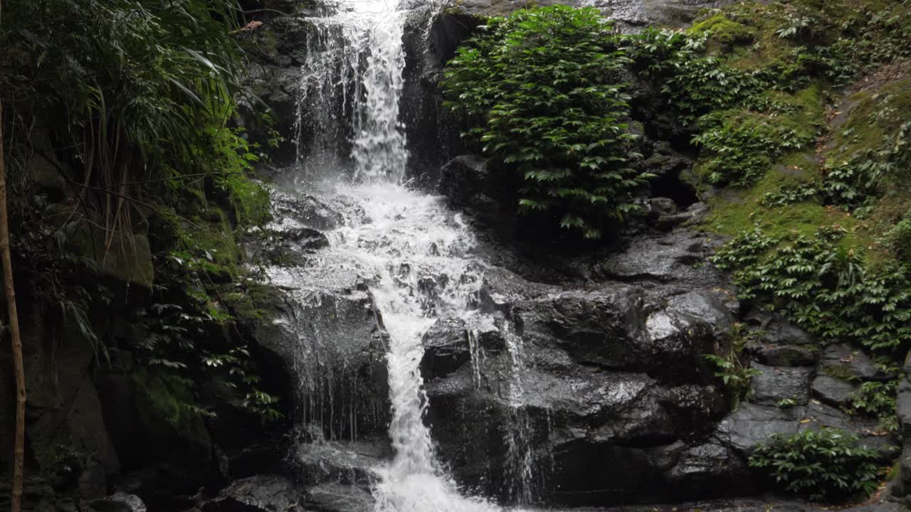 オーストラリア、クイーンズランド州ゴールドコーストのラミントン国立公園の熱帯雨林奥深くにある美しい滝