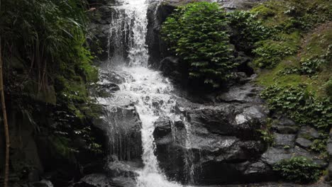 beautiful waterfall deep in rainforest of lamington national park - gold coast, qld, australia