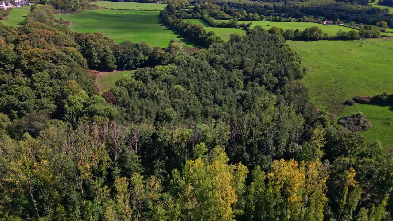Lush green forest landscape near Sainte Suzanne, early autumn colors, aerial overview