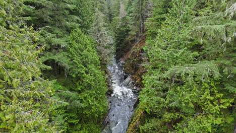 4k drone footage overlooking river in evergreen forest and bridge