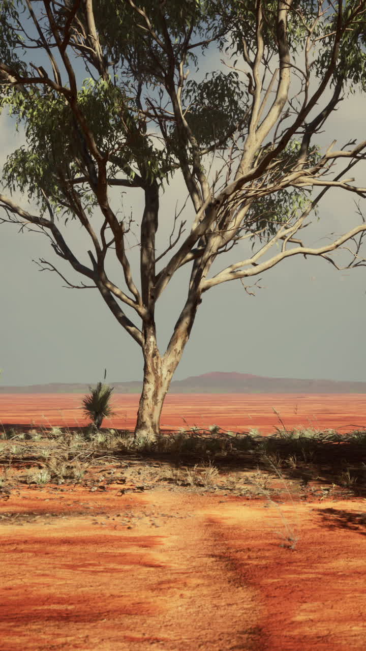 paisaje desértico rojo con un árbol