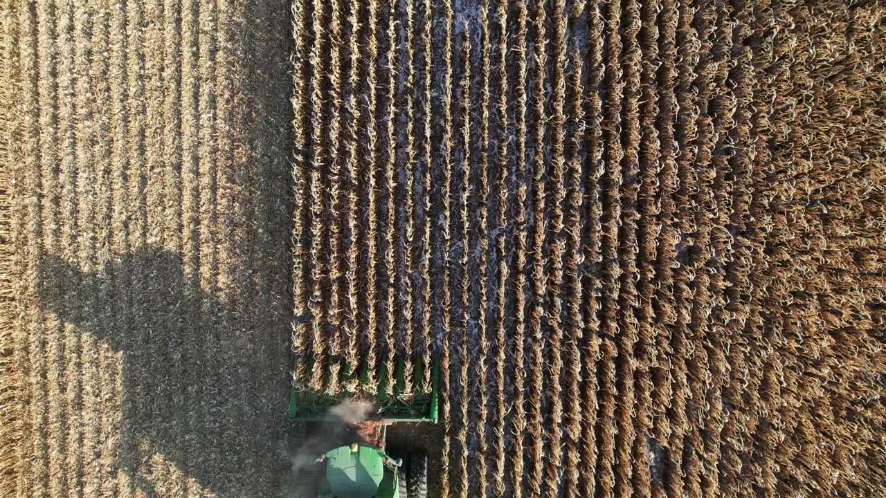 11월, 뉴 위스콘신의 한 농장에서 사일리지용 옥수수를 자르고 수집합니다.