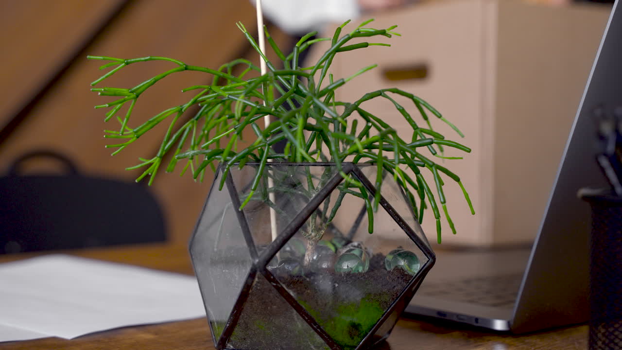 아름다운 여자가 직장을 그만두고 있다 1