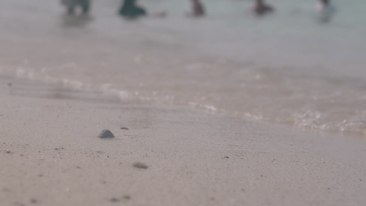 투명한 파도가 밝은 여름  ⁇ 빛에 반 ⁇ 이는 굴러