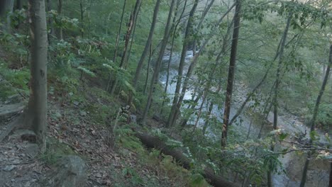 High-view-of-the-Wissahickon-Creek,-Philadelphia