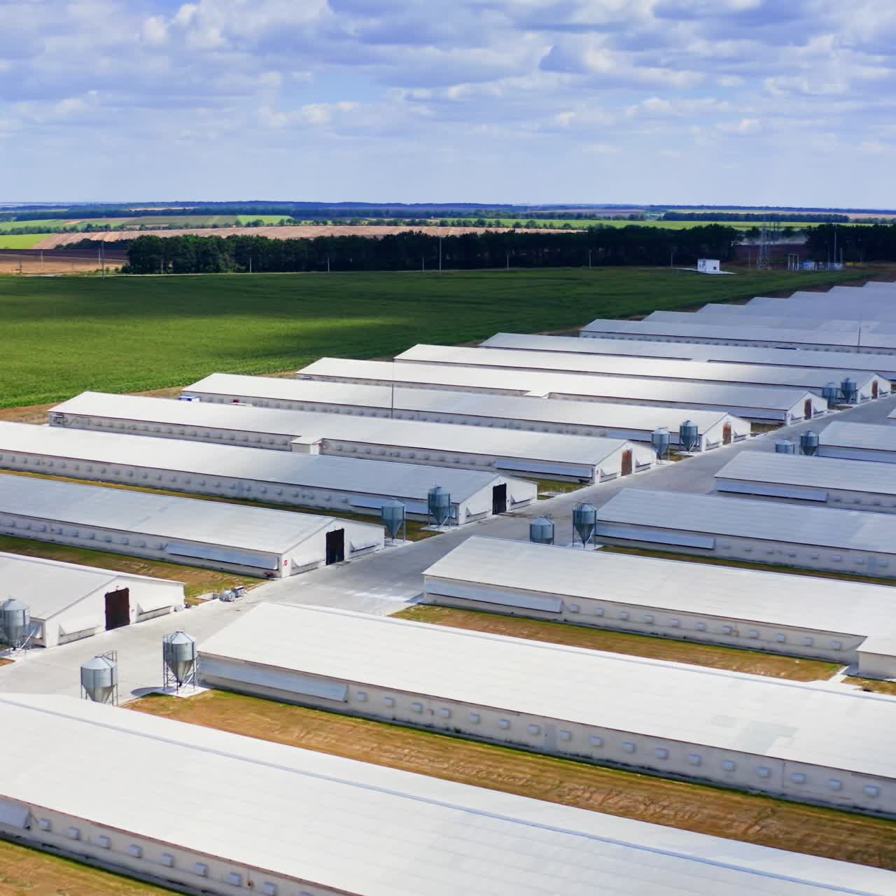 Aerial view of industrial poultry house in the country. Modern Factory Exterior
