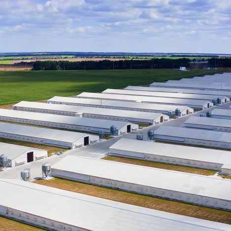 aerial view of industrial poultry house in the country. modern factory exterior