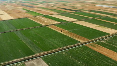 Vista-Aérea-De-Un-Campo-Agrícola-Industrial-Cultivable