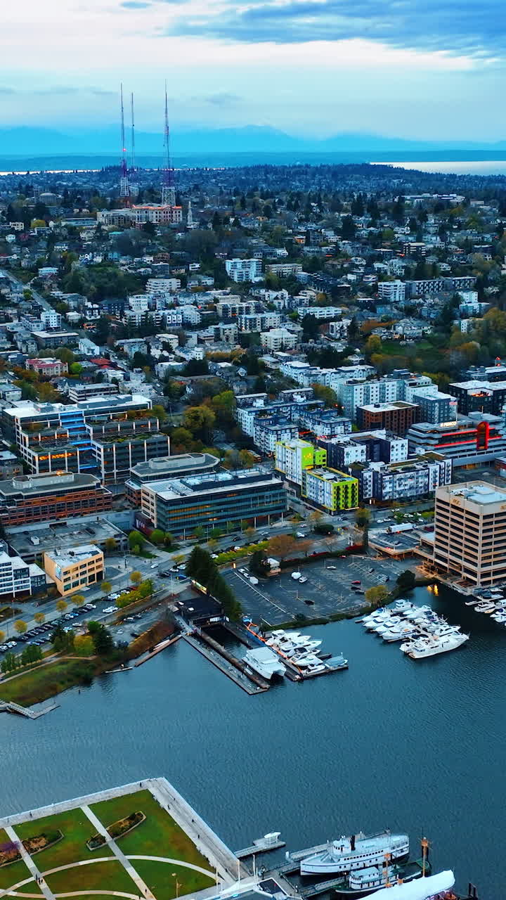 Aerial Washington state downtown city view. Vacation sunny city buildings. Vertical video