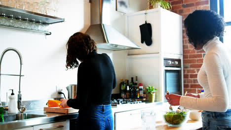 lesbian couple preparing food