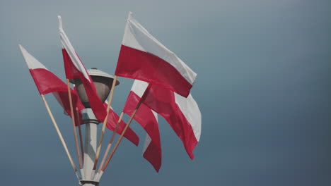 close-up of polish flags against blue sky