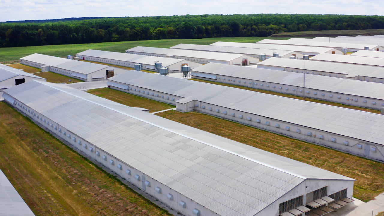 Large farm near green nature. Modern farm buildings on a meadow. Agricultural plant among clean environment. Top view.