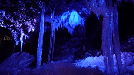 Narusawa-Eishöhle,-Fuji,-Japan,-Aokigahara-Wald,-Baummeer-Oder-Selbstmordwald