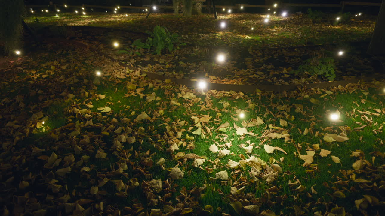 Small, glowing lights dot the grass with scattered yellow and brown leaves on it at night