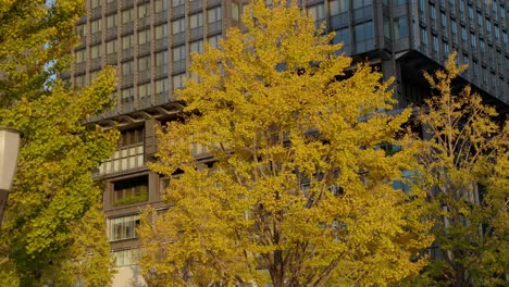 Die-Besten-Aussichten-In-Tokio