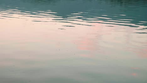 hermoso lago sangrado al amanecer en eslovenia