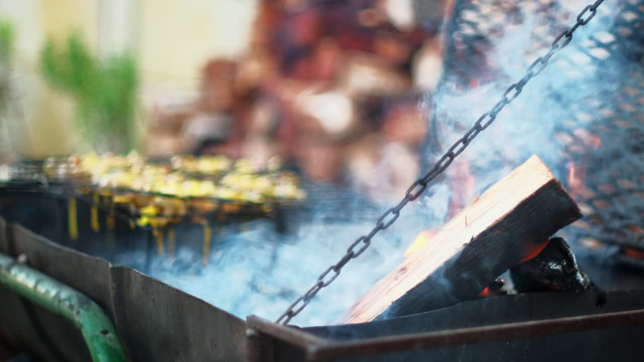 Wood fire burning as meat is barbecued on grid on hot coals, shallow focus