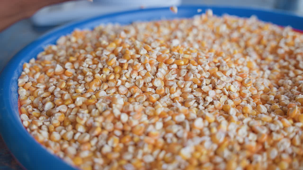 Popcorn preparation and kernel behavior. Detailed description of popcorn popping and kernel motion process. Comprehensive explanation of how popcorn kernels expand and move during heating process