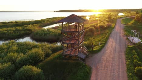 Bella-Mujer-Disfruta-Del-Majestuoso-Paisaje-Desde-La-Torre-Mirador-De-Madera-Durante-La-Puesta-De-Sol-Dorada