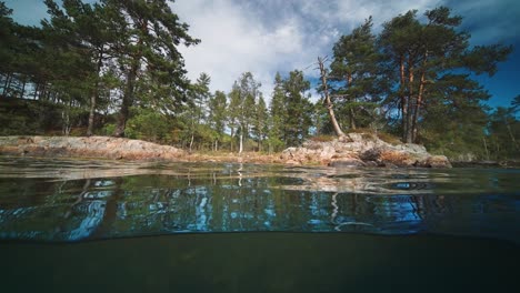 pine and birch trees stand on the rocky shores of the small island