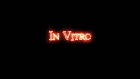 in vitro written with fire. loop