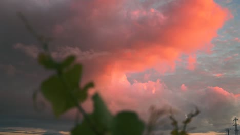 dolly shot of beautiful colored clouds during dusk at a vineyard in waipara, new zealand