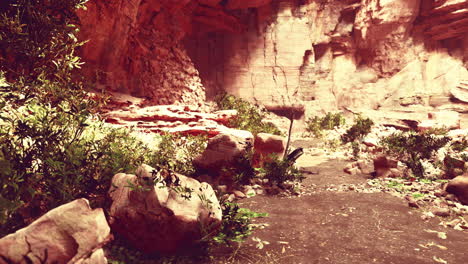 Vista-Desde-El-Interior-De-Una-Cueva-Oscura