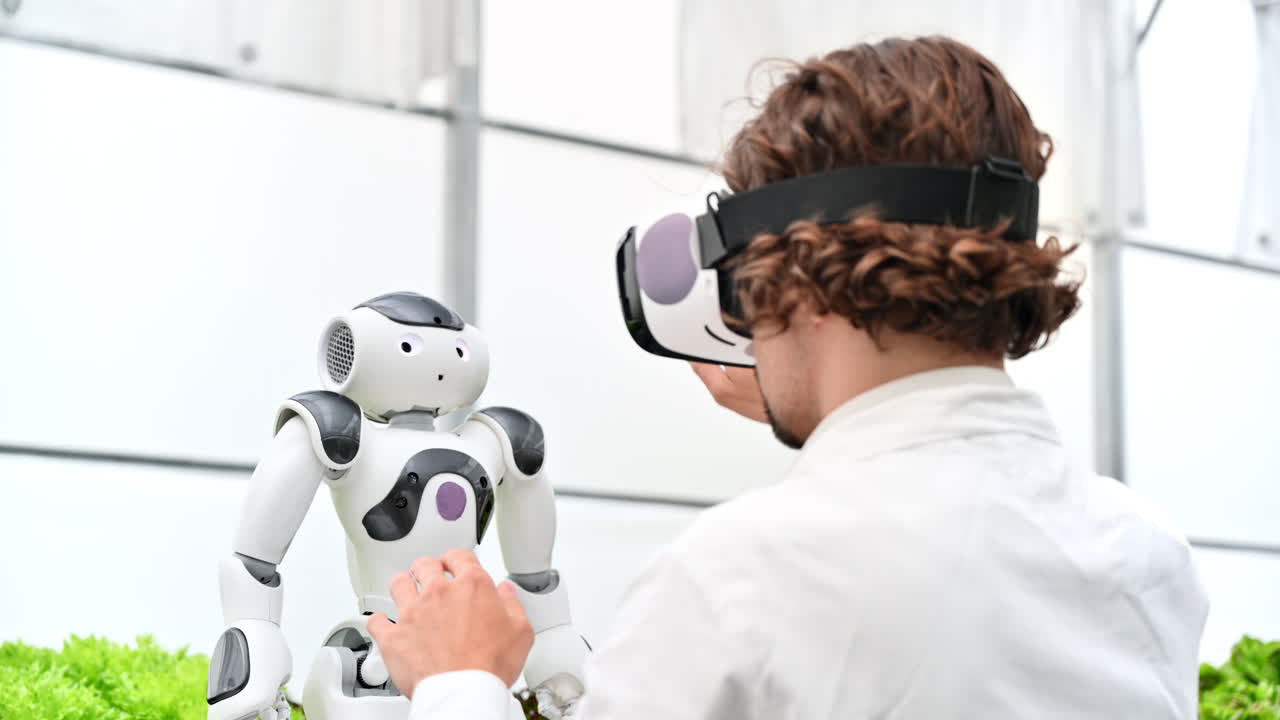 Laboratory technician in a white coat wearing virtual reality headset interacting with humanoid robot near different types of lettuce in a greenhouse farm