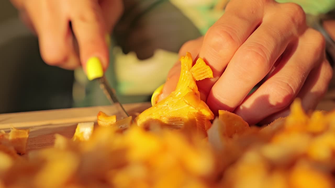 Freshly washed chanterelles sliced by woman at glowing sunset close up view