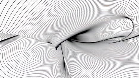 abstract black and white curved lines pattern