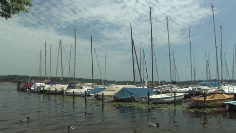 Marina-Mit-Segeln-Und-Booten-Am-Wannsee-In-Berlin,-Deutschland-1