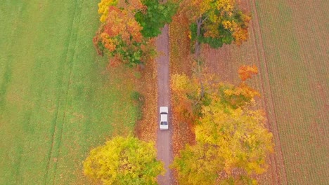 drone shot of a car riding through colorfull trees