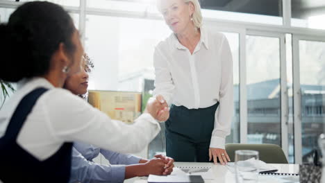diverse business team collaborating in a modern office