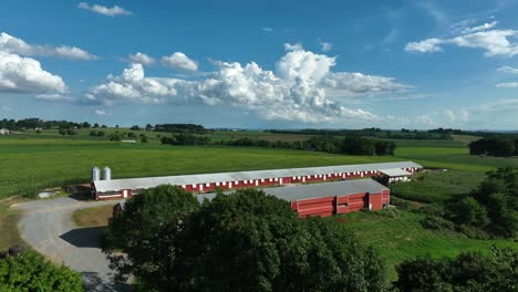 Geflügelstall-Hühnerstall-Für-Vögel